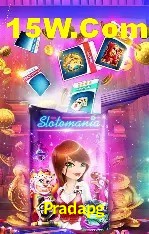 Sistemas de Segurança Pradapg